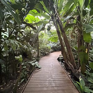 Jungle Dome Aviary - Asian Trek