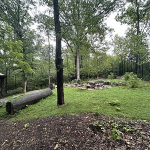 Sumatran Tiger Exhibit - Asian Trek