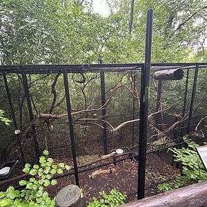 Prevost’s Squirrel Exhibit - Asian Trek