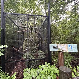Sulphur-crested Cockatoo Aviary - Asian Trek