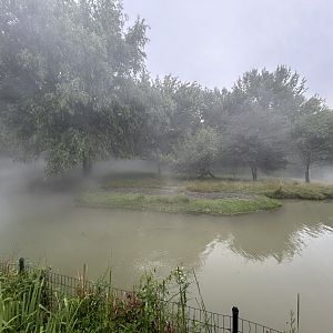 Sitatunga Exhibit - African Journey