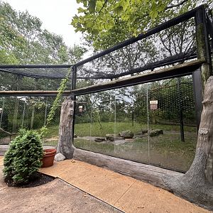 Allen’s Swamp Monkey Exhibit - African Journey