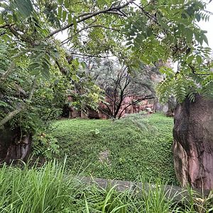 White Stork Exhibit - African Journey