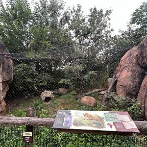 Serval Exhibit - African Journey