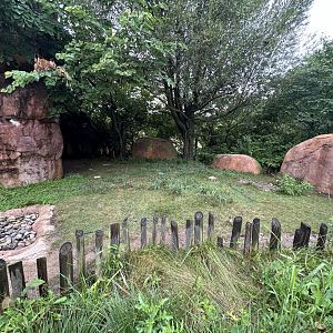 Radiated Tortoise Exhibit - African Journey