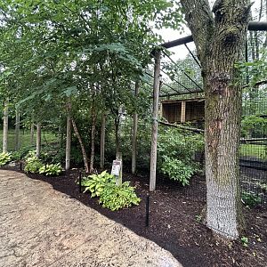 Verreaux’s Eagle Owl Aviary - African Journey