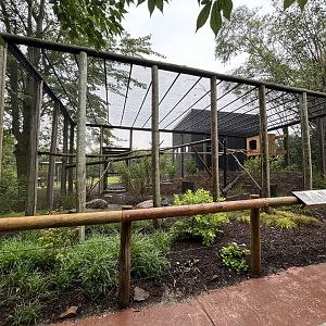 Ring-tailed Lemur Exhibit - African Journey