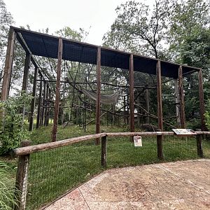 Black-and-White Colobus Exhibit - African Journey