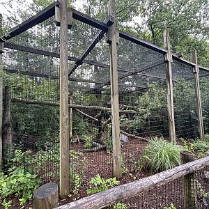 Amur Leopard Exhibit - African Journey