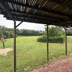 Giraffe Exhibit - African Journey