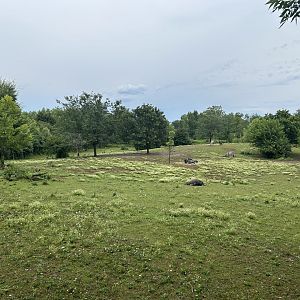 Savanna Exhibit (3 Species) - African Journey