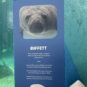 Jun. 2024- Buffett signage