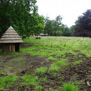Zoo extension paddock awaiting further work, 16th July 2024