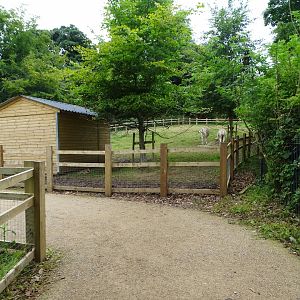 Public path through zoo extension, 16th July 2024