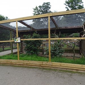 Central aviary refurbished for Amazon parrots, 16th July 2024