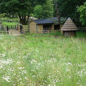 Another view of zoo extension paddock requiring further work, 17th July 2024