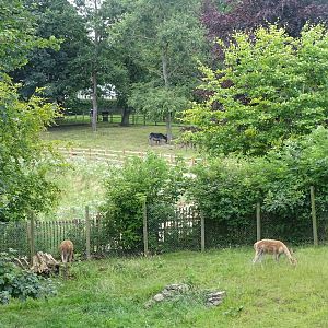 Looking across Pit Pond Paddock to zoo extension, 17th July 2024