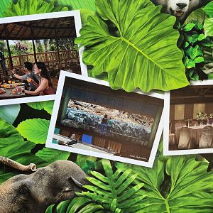 Artist's impression on new Ah Meng Restaurant and Penguin exhibit