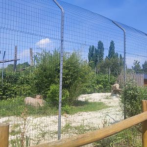 Southeast African cheetah enclosure - Artenschutzzentrum Grasleben