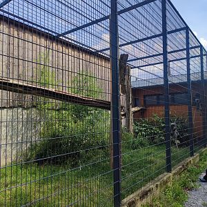 Dusky langur first enclosure - Artenschutzzentrum Grasleben