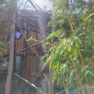 Emperor tamarin, Goeldi's marmoset, Southern tamandua and Guianan bearded saki second enclosure - Artenschutzzentrum Grasleben