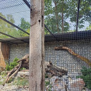 Palla's cat enclosure - Artenschutzzentrum Grasleben