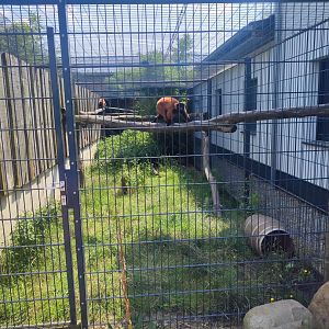 Red ruffed lemur enclosure - Artenschutzzentrum Grasleben