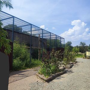 Northern white-cheeked gibbon enclosure - Artenschutzzentrum Grasleben