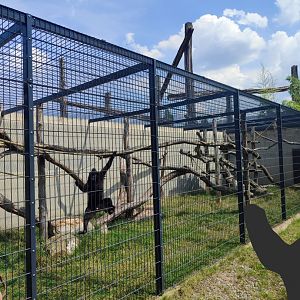 Sulawesi crested macaque enclosure - Artenschutzzentrum Grasleben
