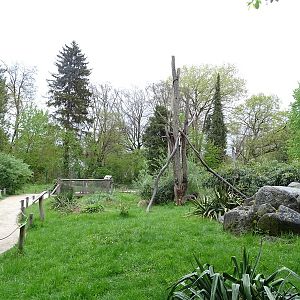 Lemur walkthrough enclosure