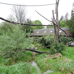 Lemur walkthrough enclosure