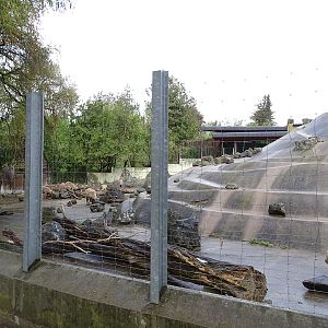 Alpine ibex enclosure