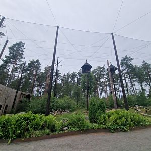 Kea enclosure