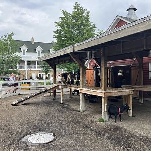 Wells Fargo Family Farm - Domestic Goat Exhibit