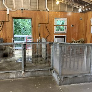 Wells Fargo Family Farm - Kunekune Pig Barn