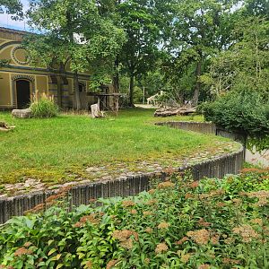Southern Gerenuk Exhibit