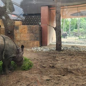 Rhino House Interior