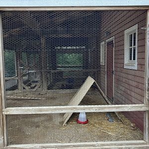 Wells Fargo Family Farm - Domestic Chicken Exhibit