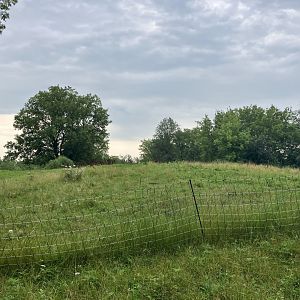 Wells Fargo Family Farm - Domestic Horse Exhibit