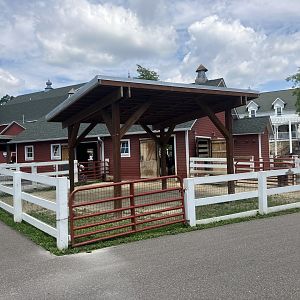 Wells Fargo Family Farm - Domestic Sheep Exhibit