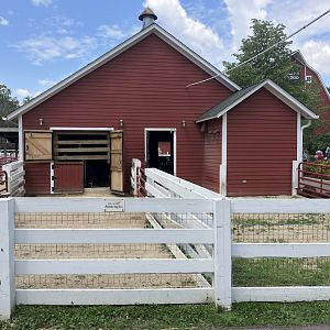 Wells Fargo Family Farm - Domestic Sheep Exhibit
