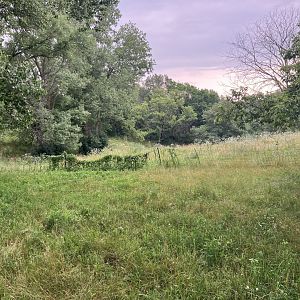 Wells Fargo Family Farm - Domestic Horse Exhibit