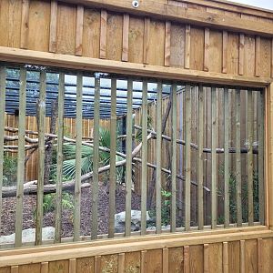 Toco toucan exhibit -Zoo de Labenne (2024)