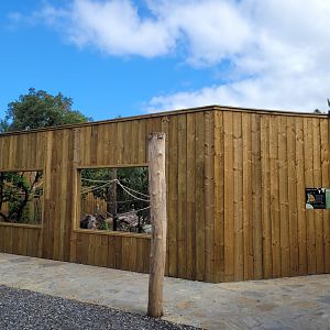 South American complex -Zoo de Labenne (2024)