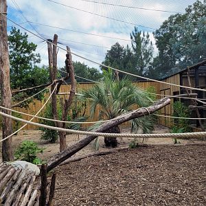 Peruvian squirrel monkey exhibit -Zoo de Labenne (2024)