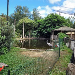 Walkthrough aviary -Zoo de Labenne (2024)