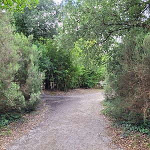 View outside the aviary -Zoo de Labenne (2024)