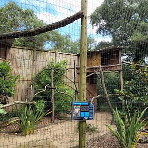 Spectacled owl exhibit -Zoo de Labenne (2024)