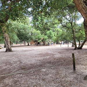 Bennett's wallaby and Patagonian mara exhibit -Zoo de Labenne (2024)