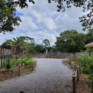 African area view -Zoo de Labenne (2024)